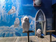 -成都浩海立方海洋公园