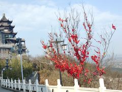-句容茅山景区