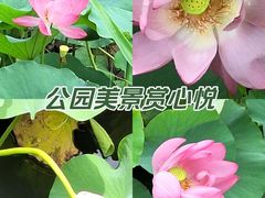 -羊亭河湿地公园