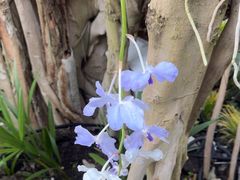 -北京植物园-展览温室