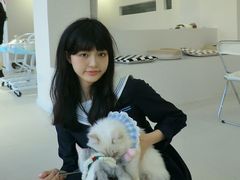 -怪兽屋·羊驼·猫咖·狗咖(俊华广场店)