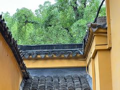 -西园寺素食(西园弄戒幢律寺店)