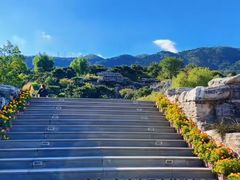 -北京西山国家森林公园