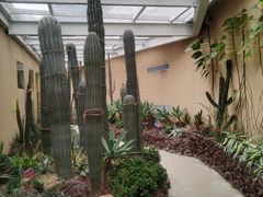 -正佳雨林生态植物园