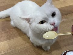 -有何Book(六堰体育馆店)