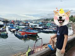 -长洲岛
