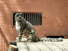 -青藏高原野生动物园