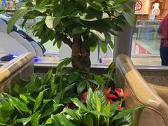 -荷花亭·湖北融合菜(十堰武商MALL店)