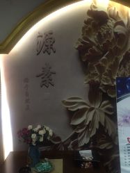 -源素美容养生会所