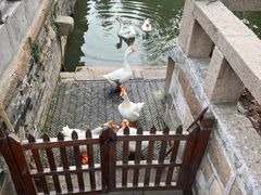 -苏州文庙(姑苏区)