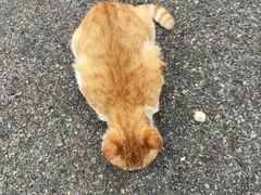 -山东鲁能乒乓球学校