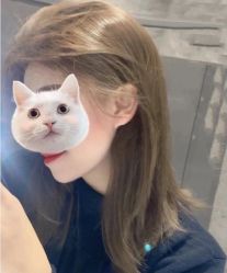 -菲·木田moontin造型salon