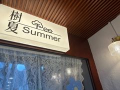 -树夏Tree Summer
