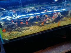-MONANA蛋糕研究所