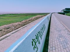 -南汇嘴观海公园