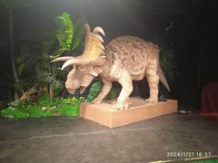 -正佳自然科学博物馆