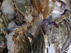 -众彩物流水产市场