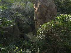 -瀛洲公园