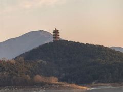 -望湖烤鱼