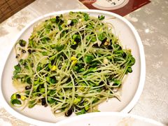 蒜蓉豆苗-鲁城往事(游客中心店)