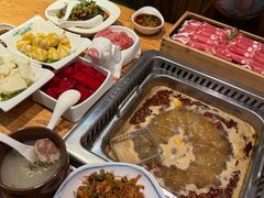 -草原塞蛮羊火锅城(港湾店)