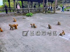 -千岛湖东南湖区