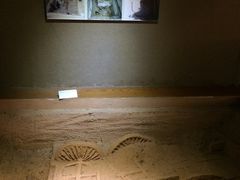 -洛阳周王城天子驾六博物馆