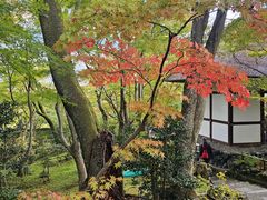-常寂光寺