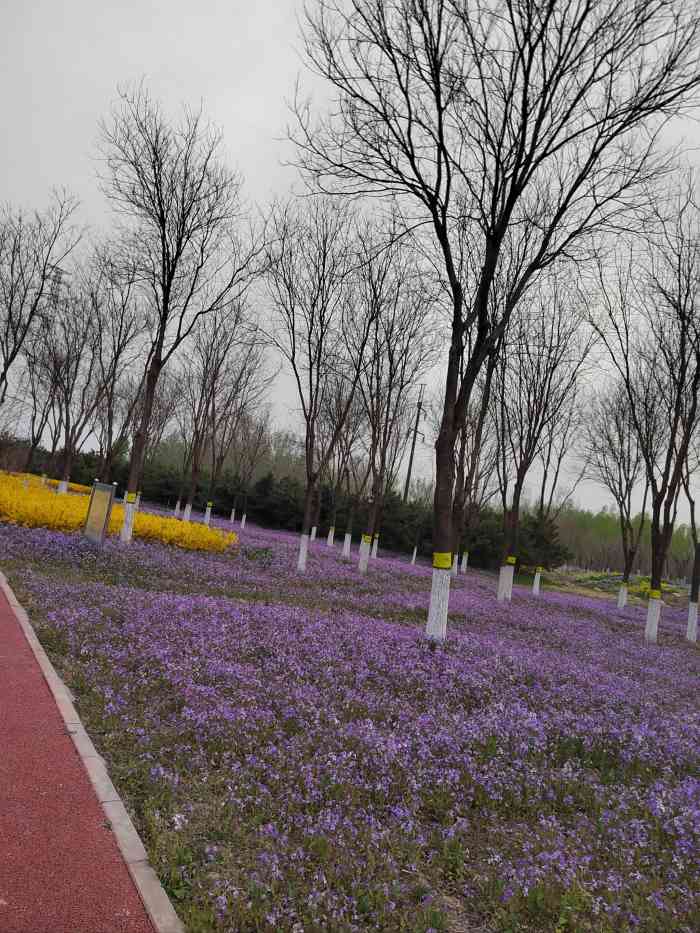 马驹桥湿地公园-"马驹桥湿地公园,是北京通州区的又一大湿地..."-大众