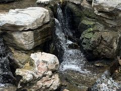 -白水寺森林公园