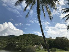 -三亚亚龙湾金棕榈度假酒店