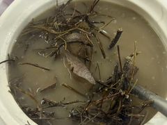 -头啖汤山庄(秀丽路店)