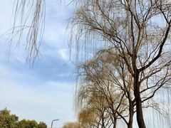 -洨河生态公园