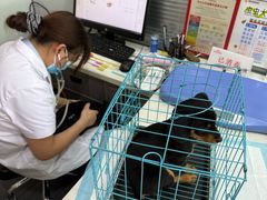 -pd派德宠物中心医院24H急重症·眼科中心·血液透析中心(嵩山北路店)