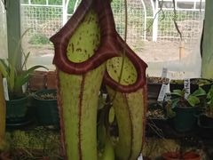 -国家植物园南园