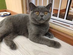 -猫和宫(六道口店)