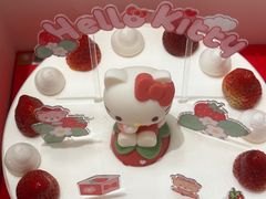 -TOUCH泰奇(奉贤宝龙城市广场店)