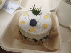 -野草莓自由市场