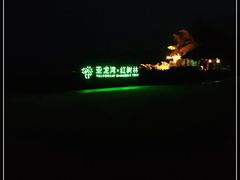 -三亚亚龙湾红树林度假酒店