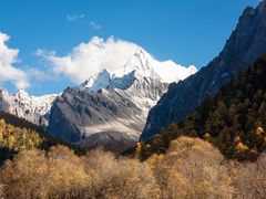 -稻城亚丁景区-冲古草甸