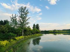 -东郊湿地公园