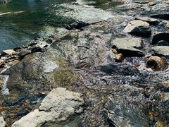 -白河湾生态旅游一条川