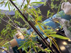 -江南里·新浙菜(苏州大悦城店)
