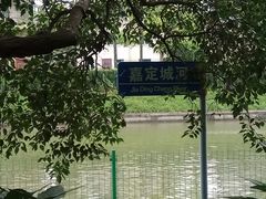 -嘉定紫藤园