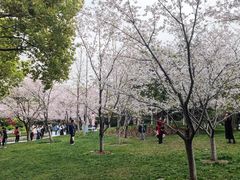 -堤角公园