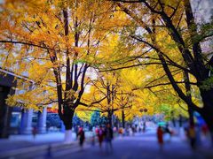 -四川大学(华西校区)