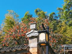 -塔川景区
