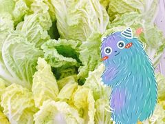 -马玉涛大叔的麻辣烫