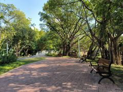 -人民公园(罗湖区)