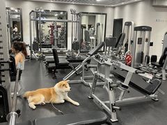 -YCHL Studios健身工作室(市二宫店)